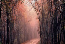 成都养生指南：中年白领亲测，调理脾胃少踩坑的实用方法