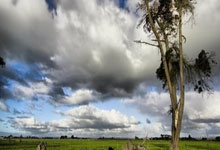 成都亚健康调理指南：告别身体被掏空，重塑健康活力