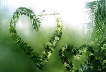 成都养生指南:中年白领亲测,调理脾胃少踩坑的实用方法