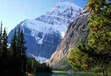 成都亚健康调理指南:告别身体被掏空,重塑健康活力