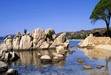 成都养生指南：中年白领亲测，调理脾胃少踩坑的实用方法