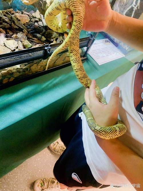 成都桑拿是一种什么体验_成都好的桑拿_成都桑拿哪里好