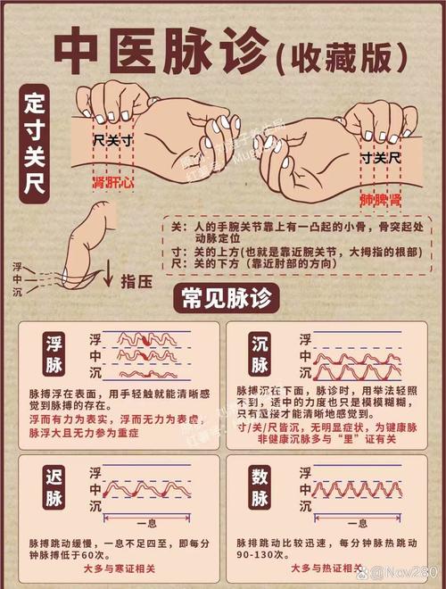 成都养生项目_成都的养生馆_成都养生推荐