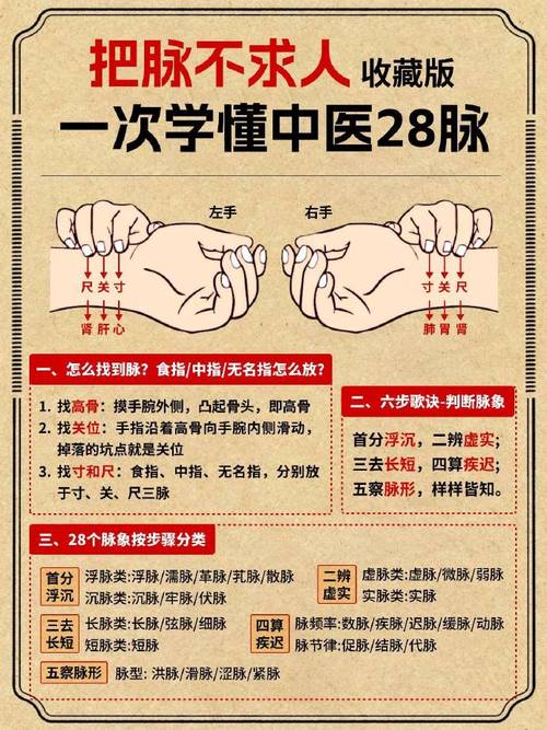 成都养生项目_成都养生推荐_成都的养生馆